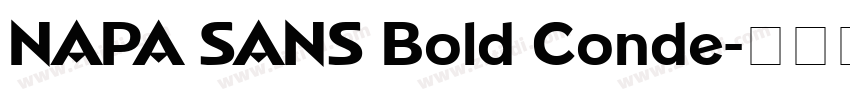 NAPA SANS Bold Conde字体转换